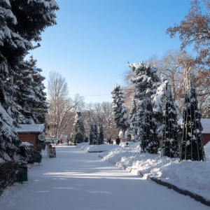 Фото от владельца Городской парк