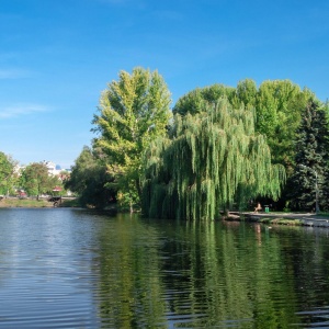 Фото от владельца Городской парк