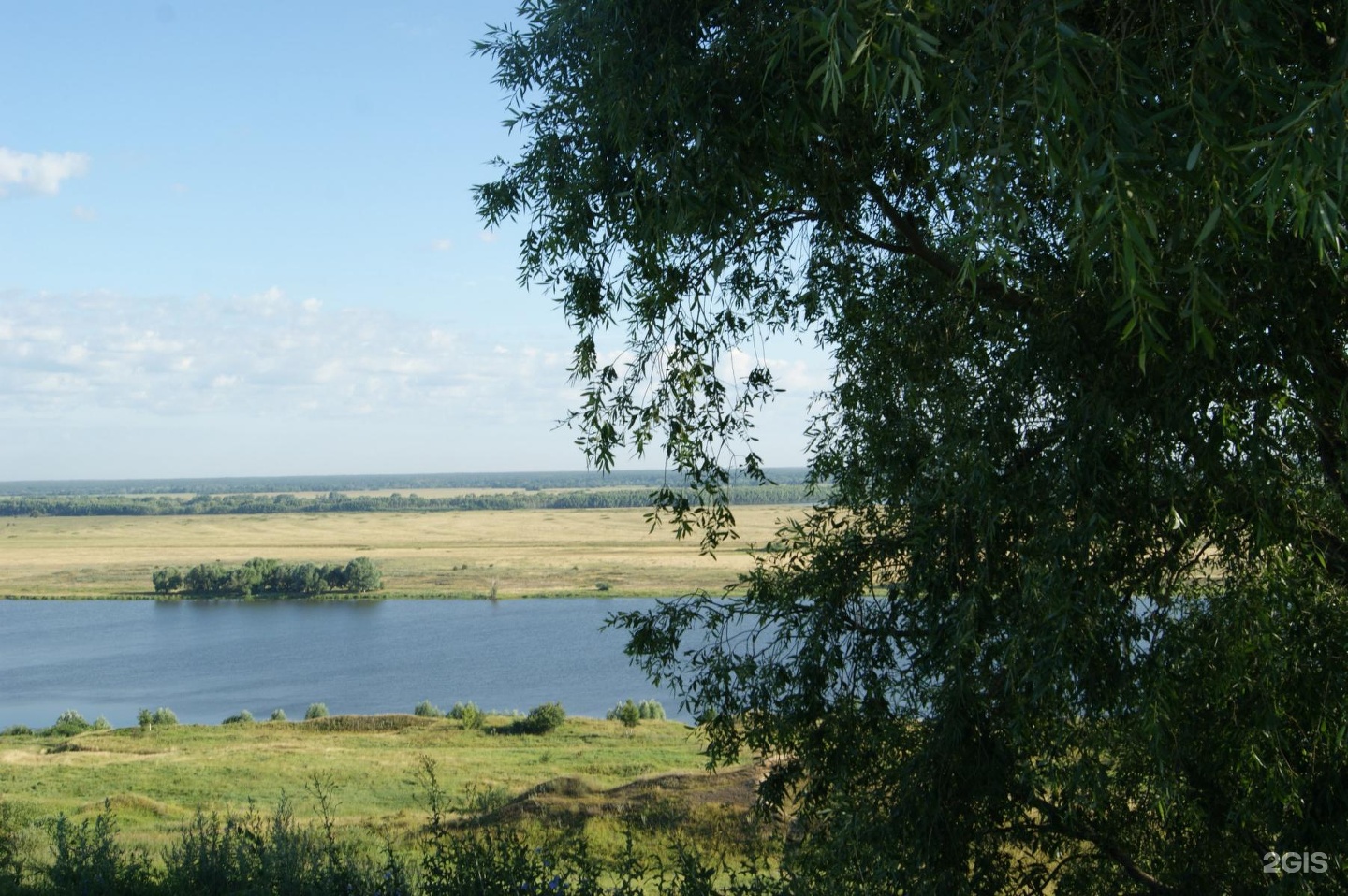 Константиново (Рыбновский район). Тополь Есенина в Константиново. Фотографии Дальнее Константиново. Константиново пляж.