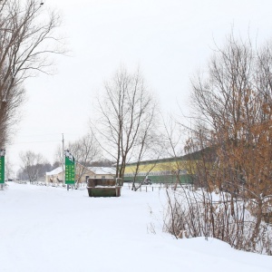 Фото от владельца Авангард, конно-спортивный клуб