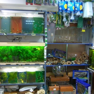Фото от владельца Подводный мир, магазин аквариумистики