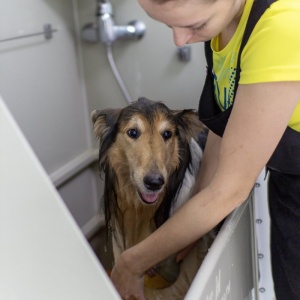 Фото от владельца I Love Pets, зоомагазин