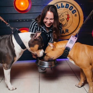 Фото от владельца Bulldog Bar