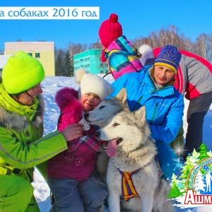 Фото от владельца Солнечный, детский оздоровительный лагерь