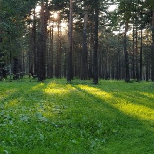 Фото от владельца Зенковский парк культуры и отдыха