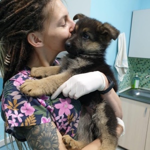 Фото от владельца Dog premium, ветеринарная клиника