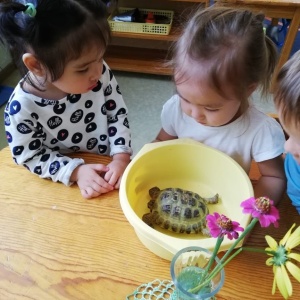 Фото от владельца Montessori Class, центр раннего развития