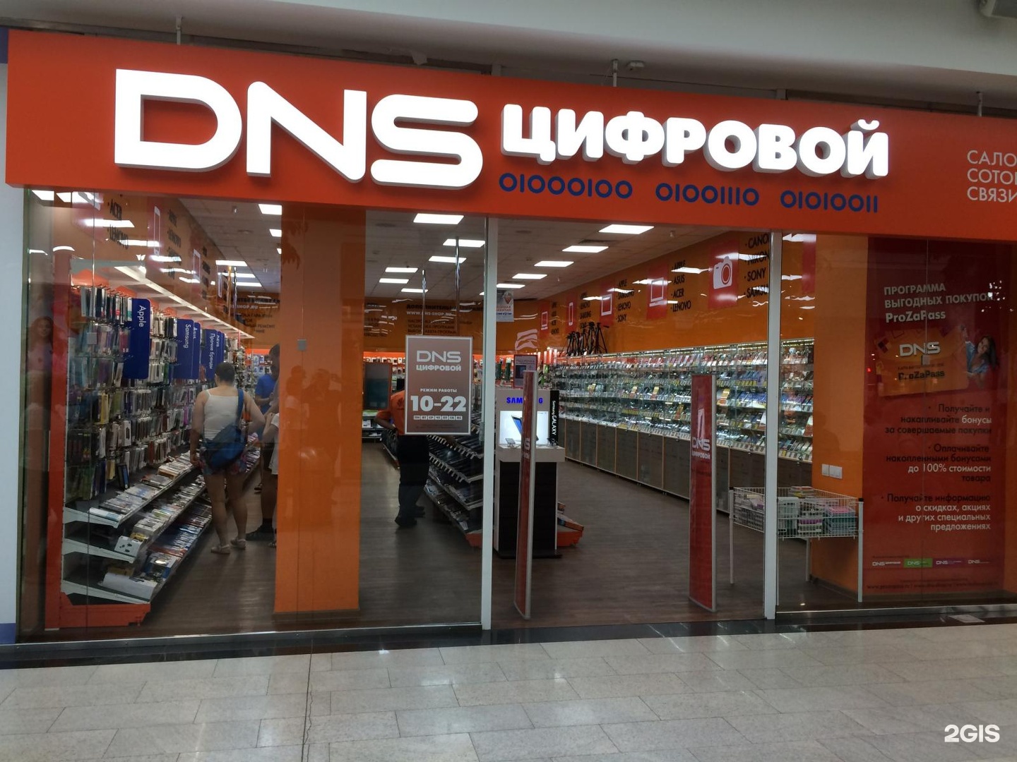 днс сетевая