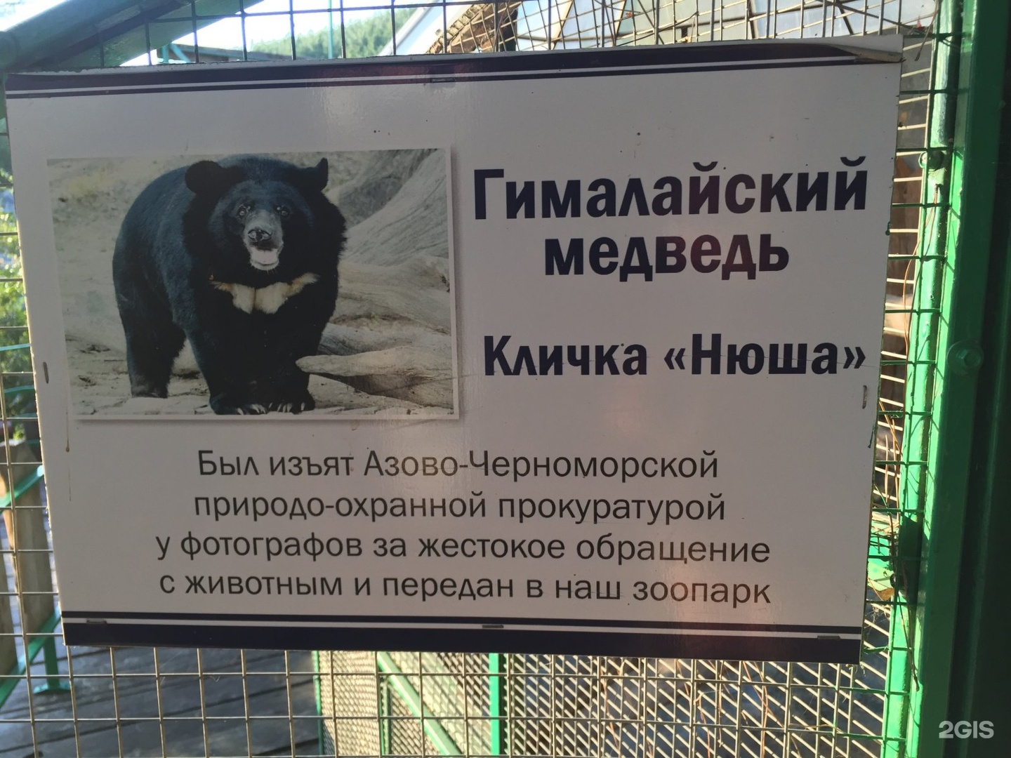 Зоопарк новороссийск. Контактный зоопарк Новокузнецк Зов джунглей. Контактный зоопарк Новороссийск.