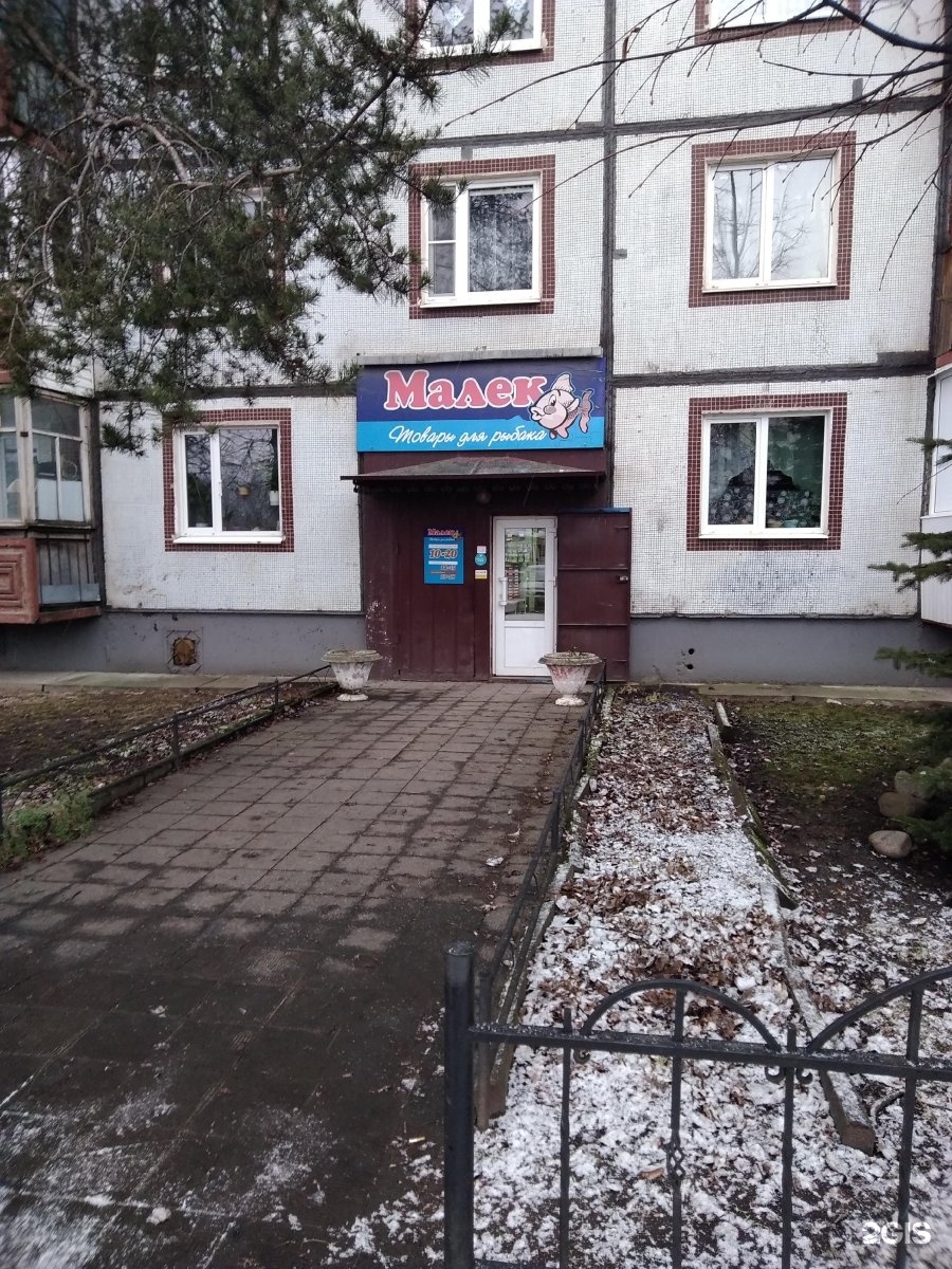 Малек вьюна. Малек янтарной форели. Магазин малек. Малек речной форели. Магазин малек.