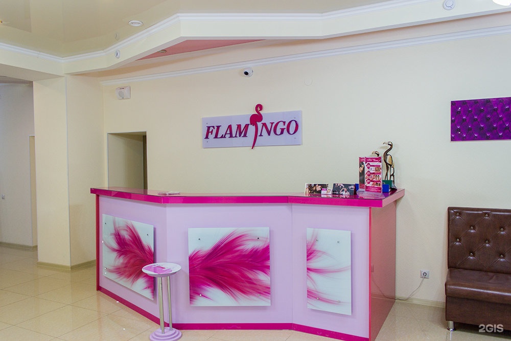 Салон дема. Парикмахерская Фламинго. Вывески салон Фламинго. Салон красоты в стиле Фламинго. Розовый Фламинго салон красоты.
