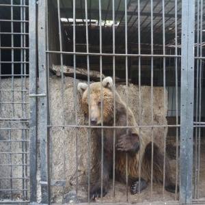 Фото от владельца Карагандинский государственный зоопарк