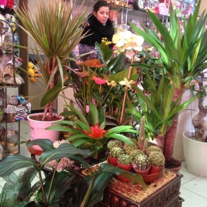 Фото от владельца Жасмин, оптово-розничный салон цветов