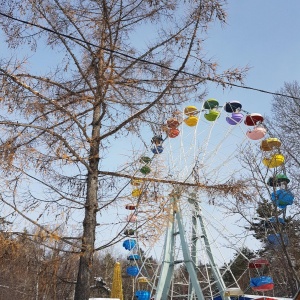 Фото от владельца Городской парк культуры и отдыха им. Ю.А. Гагарина