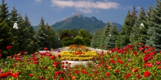 Иноземцево: Санаторий Машук Аква-Терм