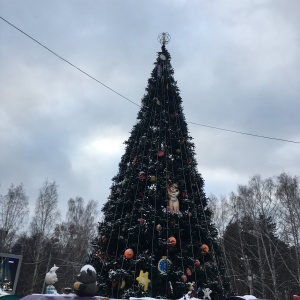 Фото от владельца Екатеринбургский Центральный Парк Культуры и Отдыха им. В.В. Маяковского