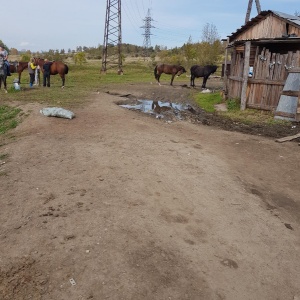 Фото от владельца СВЕТЛАНА, ООО, племконеферма