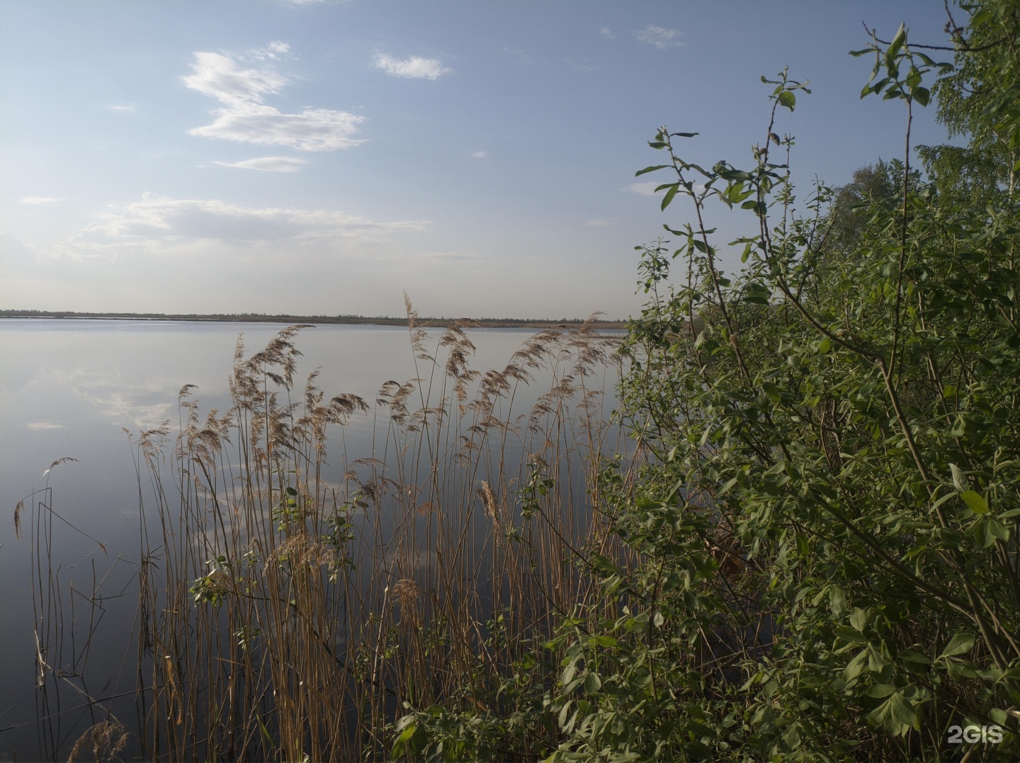 Озеро липовое Тюменская область