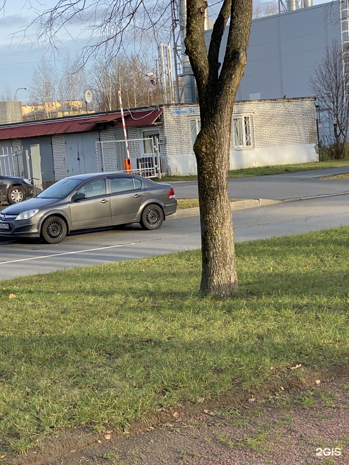 Санкт петербург бульвар разведчика. Петергоф бульвар разведчика. Бульвар разведчика 10 а петергоф собес. Бульвар разведчика петергоф каштаны. Улица пролетарская орехово-зуево.