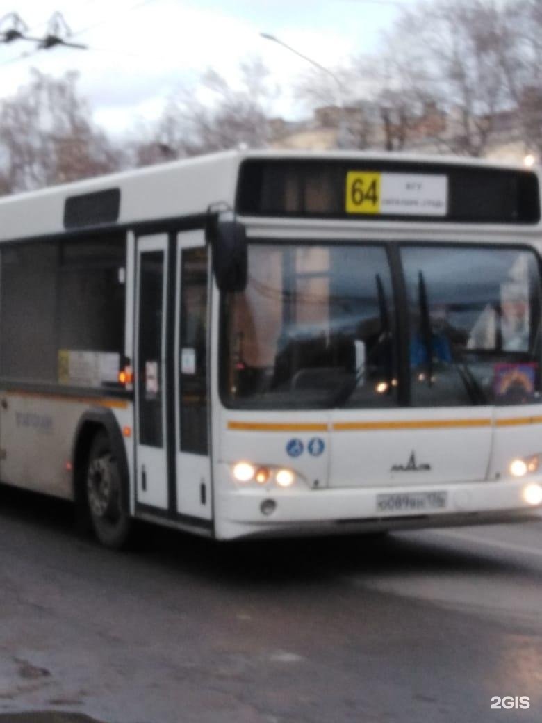 На автобус 64. 64 Маршрут Воронеж. Автобус 64. 64 Автобус маршрут. Автобус 64 Воронеж.