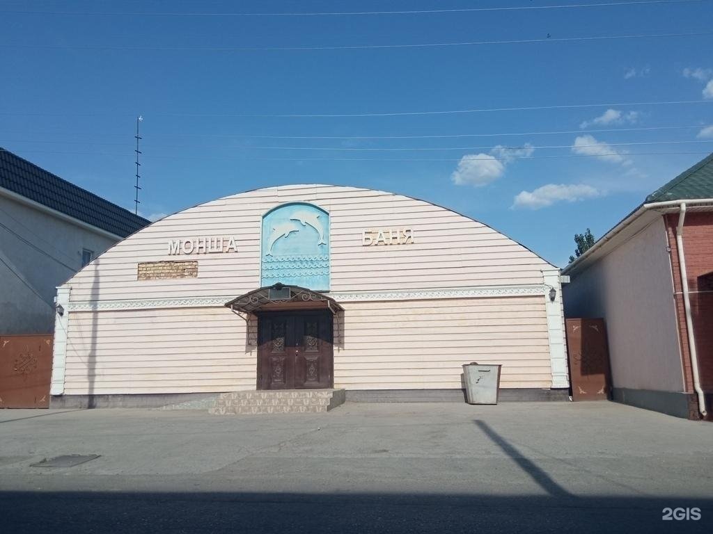 Дельфин