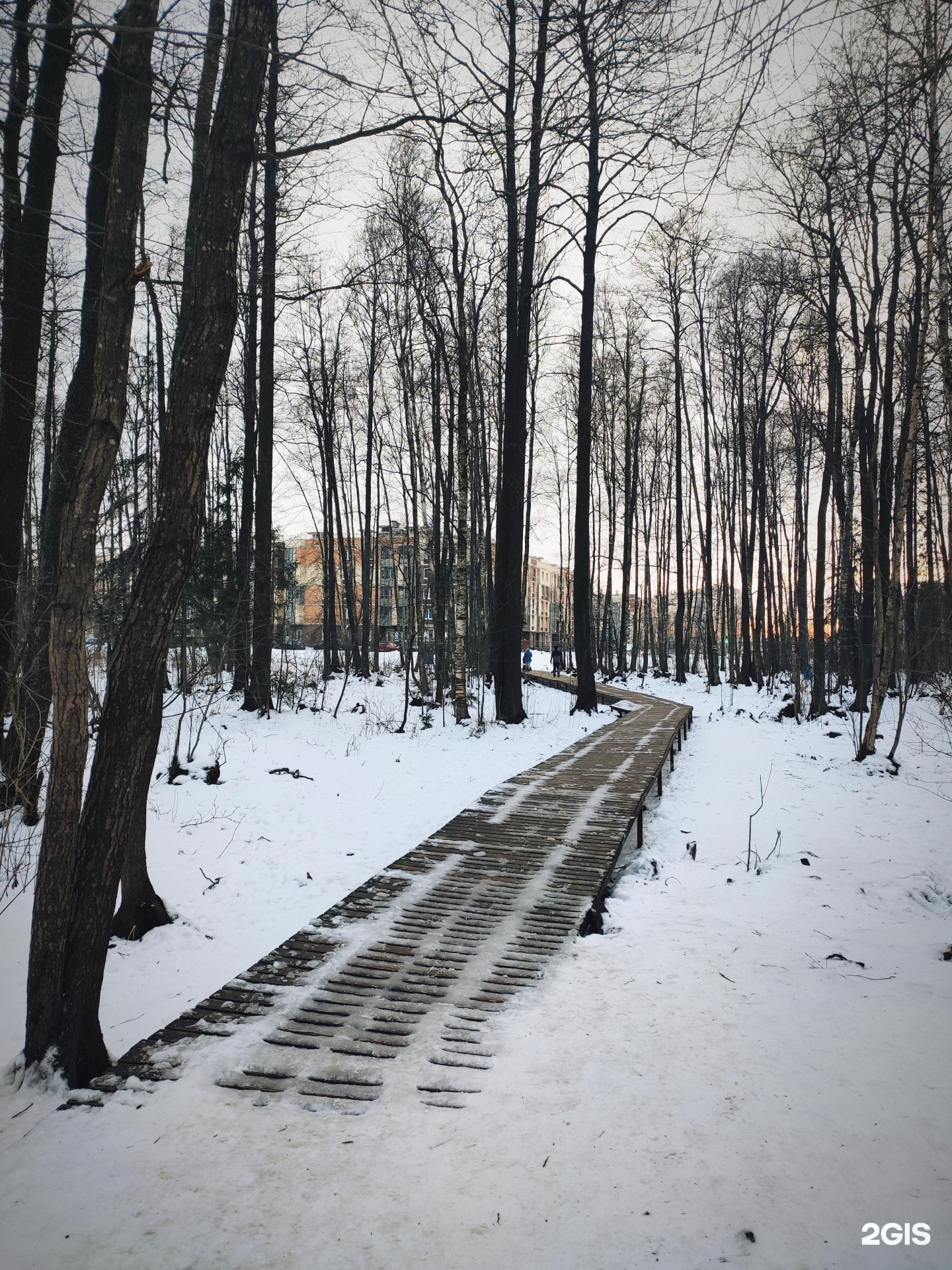 юнтоловский парк в приморском районе