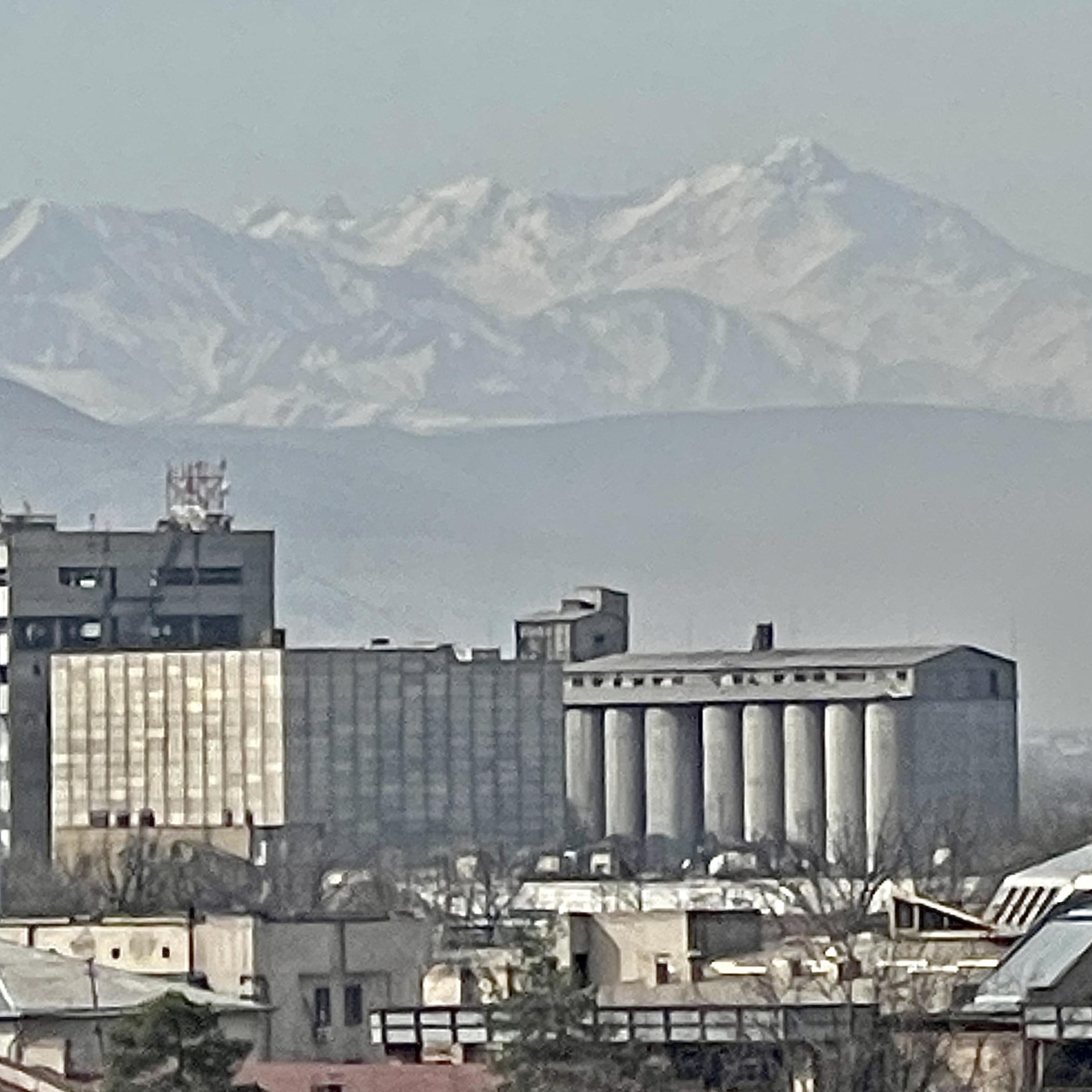 Современный вид; дата публикации в 2GIS