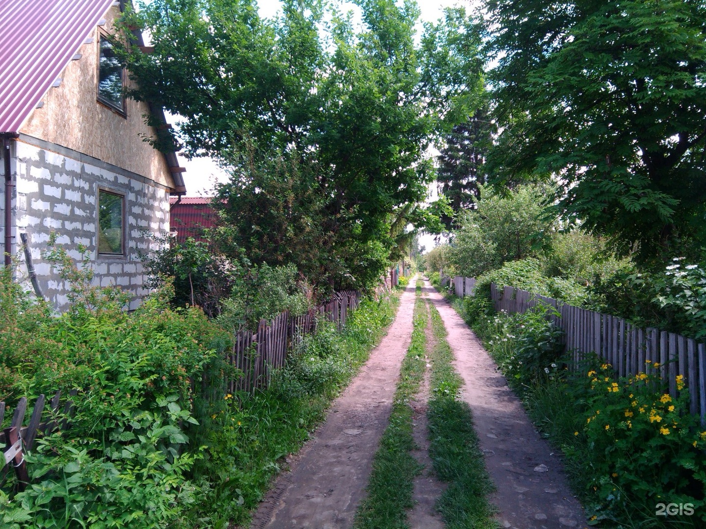 Снт курган. СНТ КМЗ 3 картинки. СНТ КМЗ 3 картинки города Климовска. СНТ КМЗ 4 где находится.