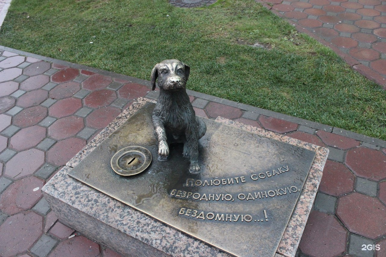 Памятник бродячей собаке Тюмень