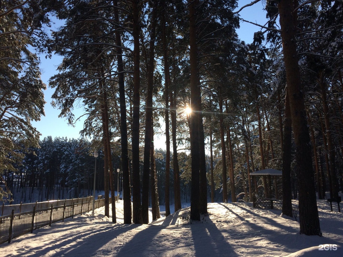 Карта гилевской рощи