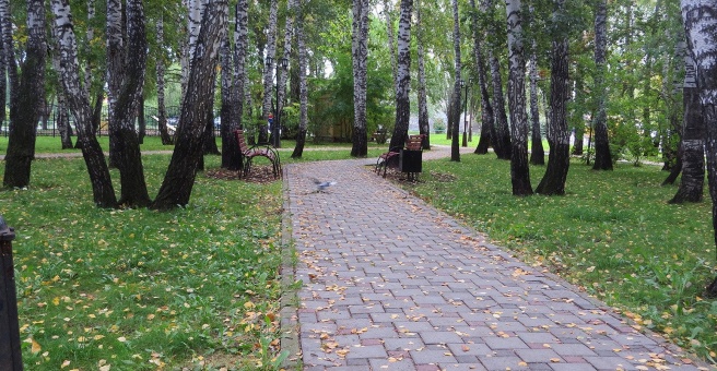 Туалет в парке березовая роща