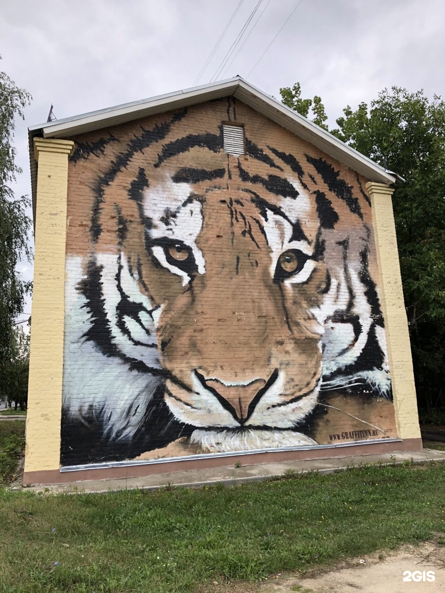 Граффити тигра