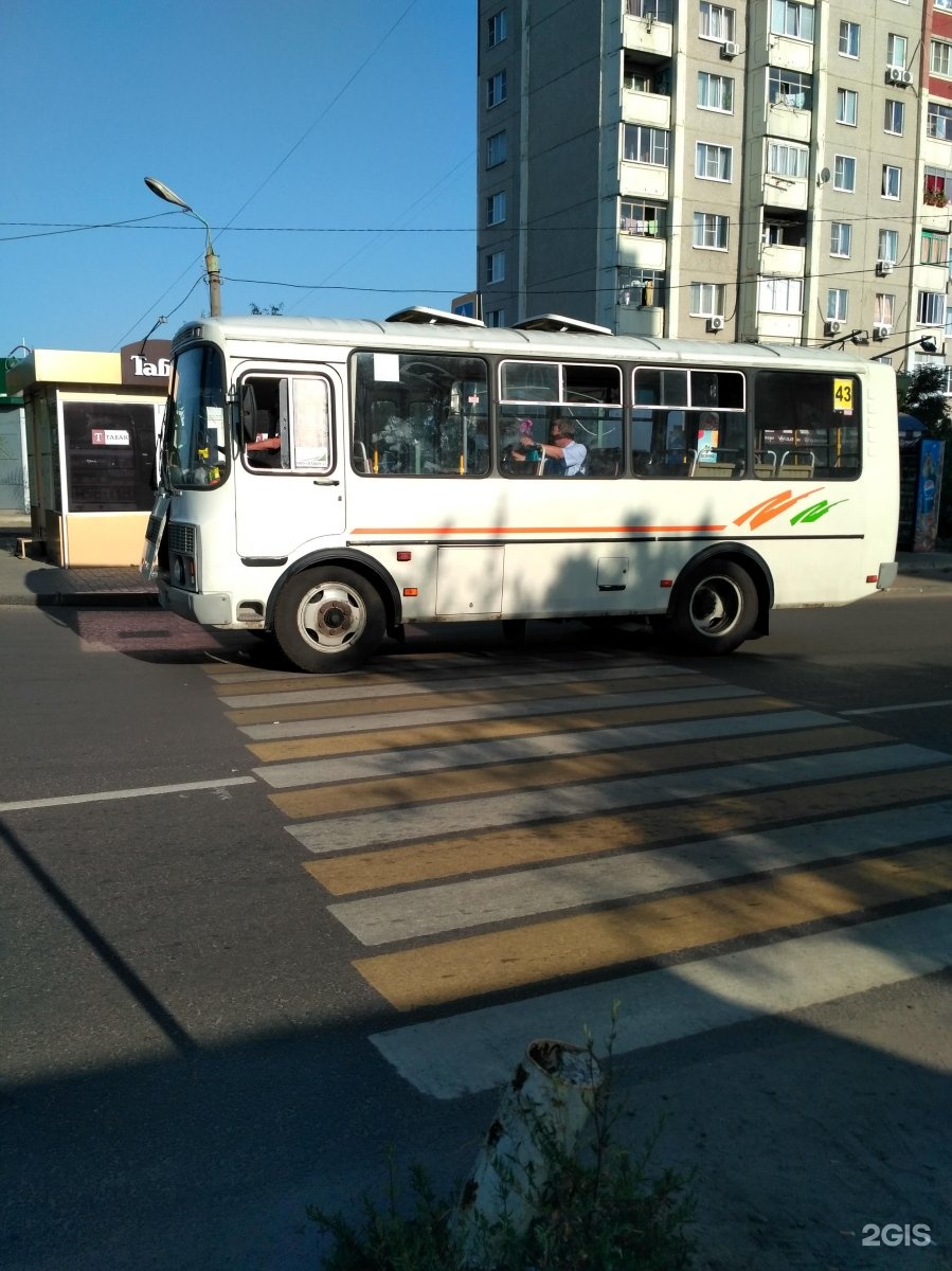 Маршрут 43. Автобус 43. Маршрут 43 Воронеж. Маршрут 43 автобуса Воронеж. Автобусы Воронеж 91 маршрут.