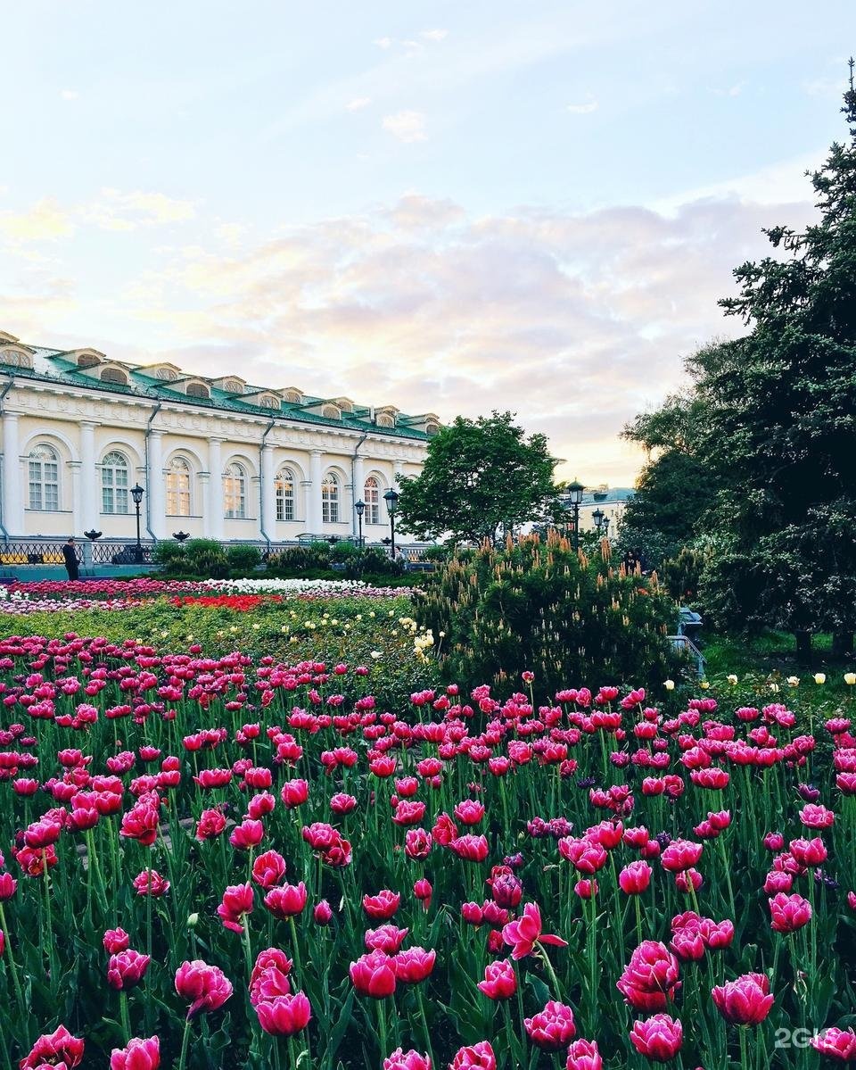 александровский сад в москве