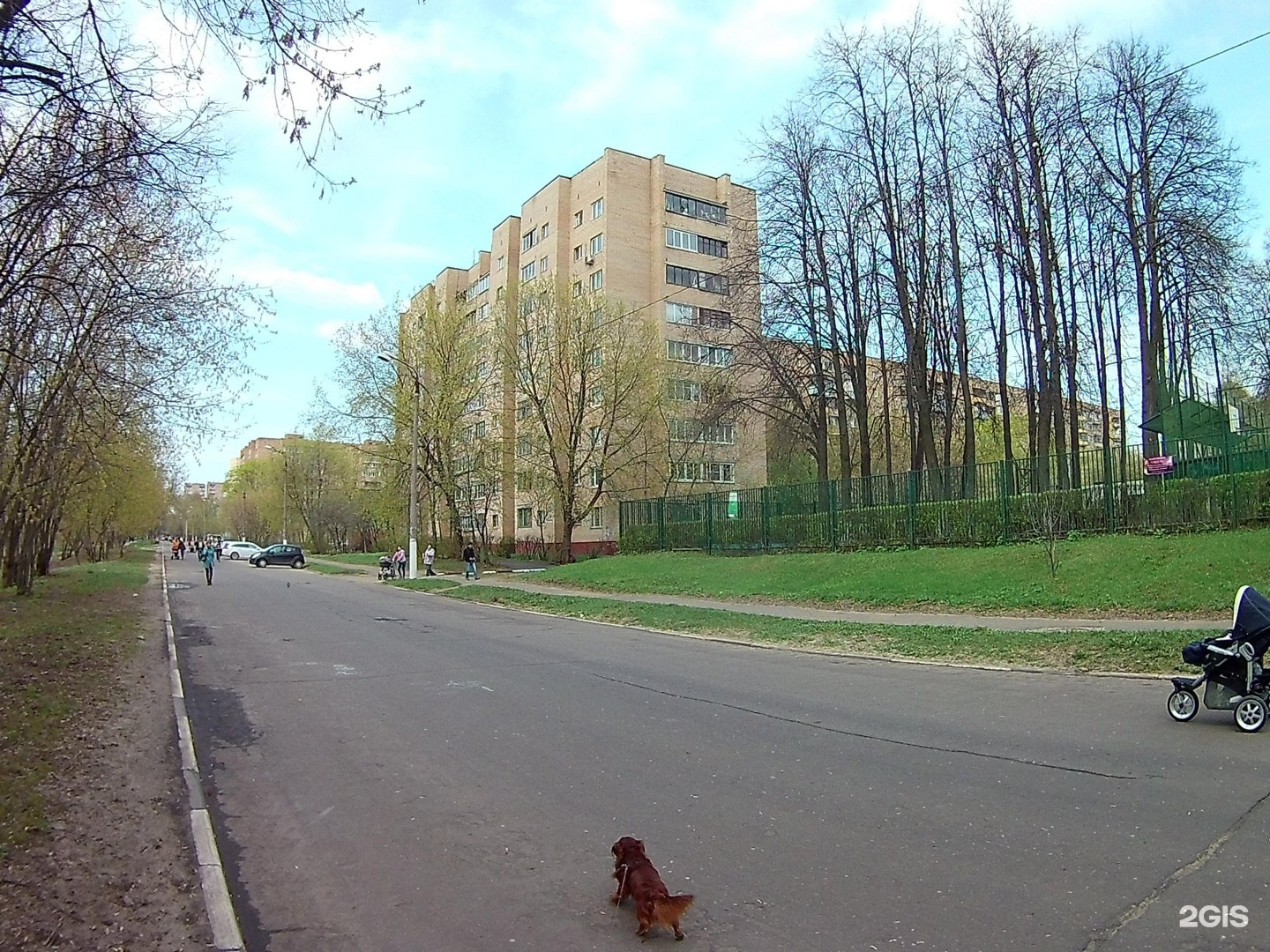 улица дмитриева 28 балашиха. алексеевская роща дмитриева 8.