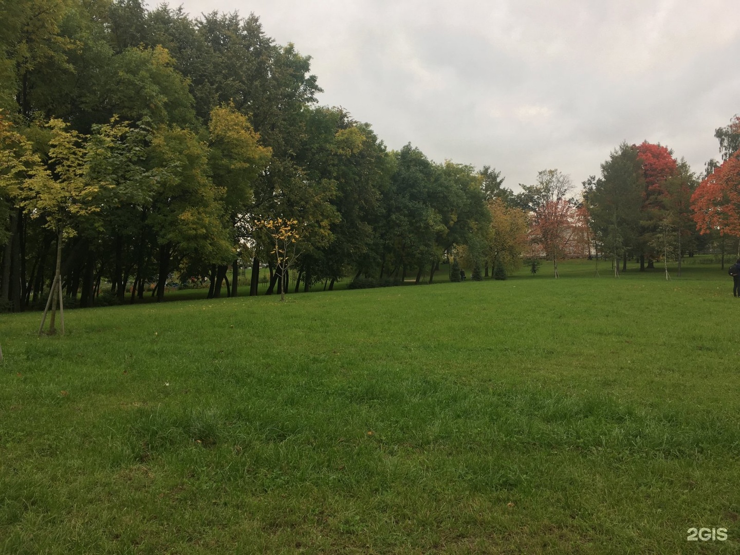 Парк куракина дача в санкт петербурге