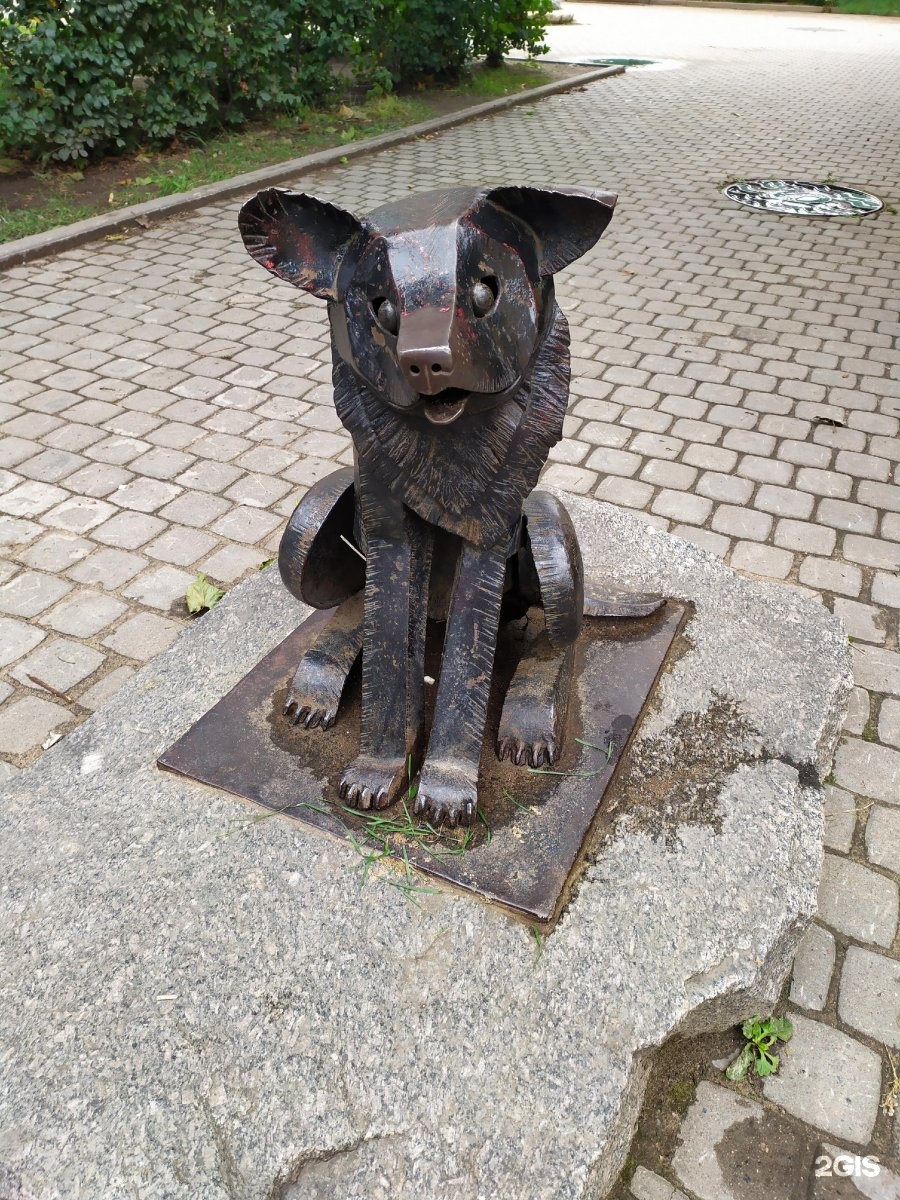 Гаврюша. Памятник собаке Гаврюше в Санкт-Петербурге. Гаврюша памятник бродячей собаке. Памятник Гаврюше на малой садовой. Улица правды 13 памятник Гаврюше.