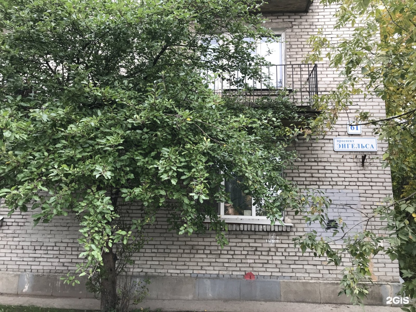 Энгельса 61. Санкт-Петербург, пр-т Энгельса, 61б. Энгельса 61 к 2. Энгельса 61 корпус 2. Санкт-Петербург проспект Энгельса 119 общага.