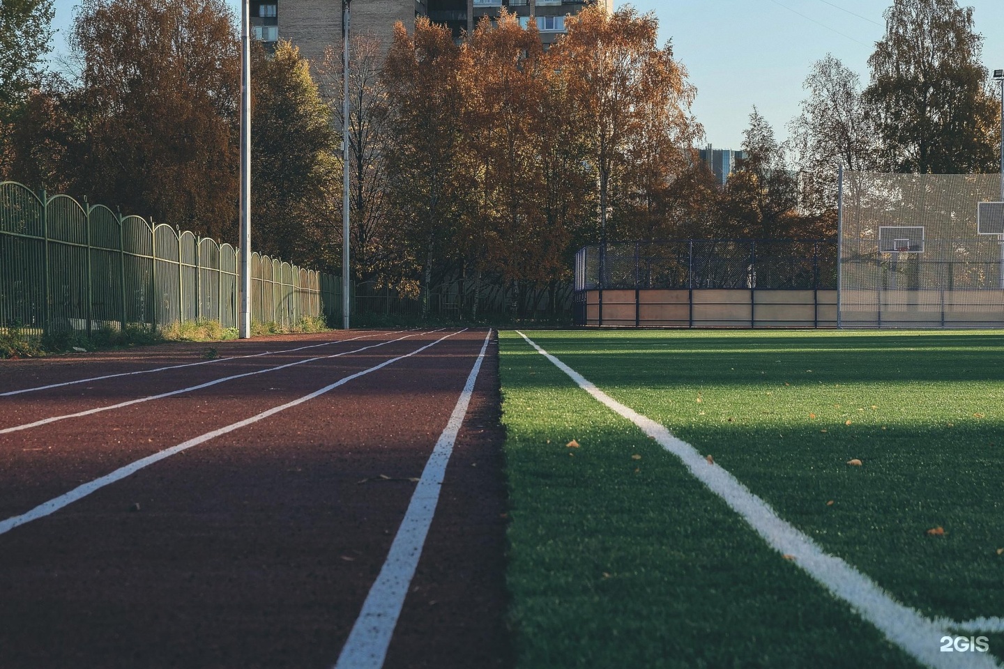 Футбольное поле 494 школа санкт-петербурга. Цфксиз василеостровского района футбольное поле. Футбольные поля спб. Школа 521, пискаревский проспект футбольное поле. Футбольные поля спб.