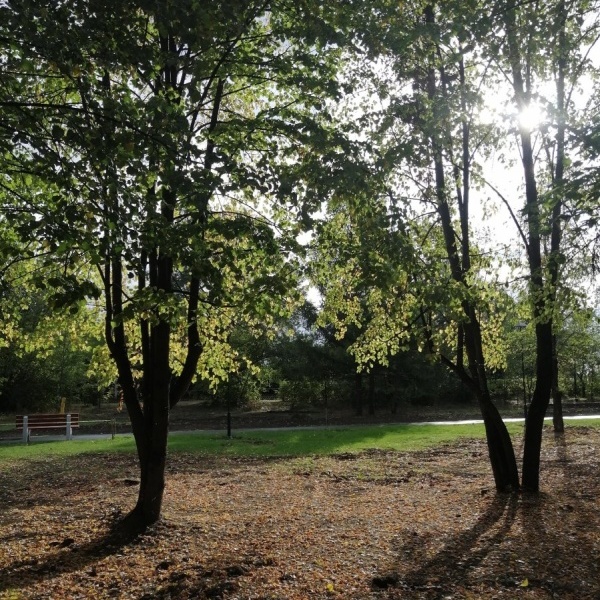 Новоалтайск парк