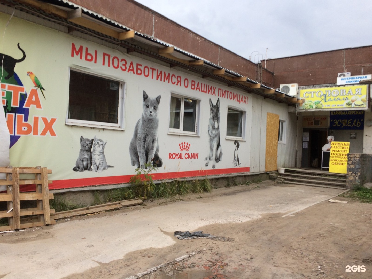 Veterinarnaya klinika Planeta Zhivotnykh, veterinary clinic, Ulyanovsk, Generala