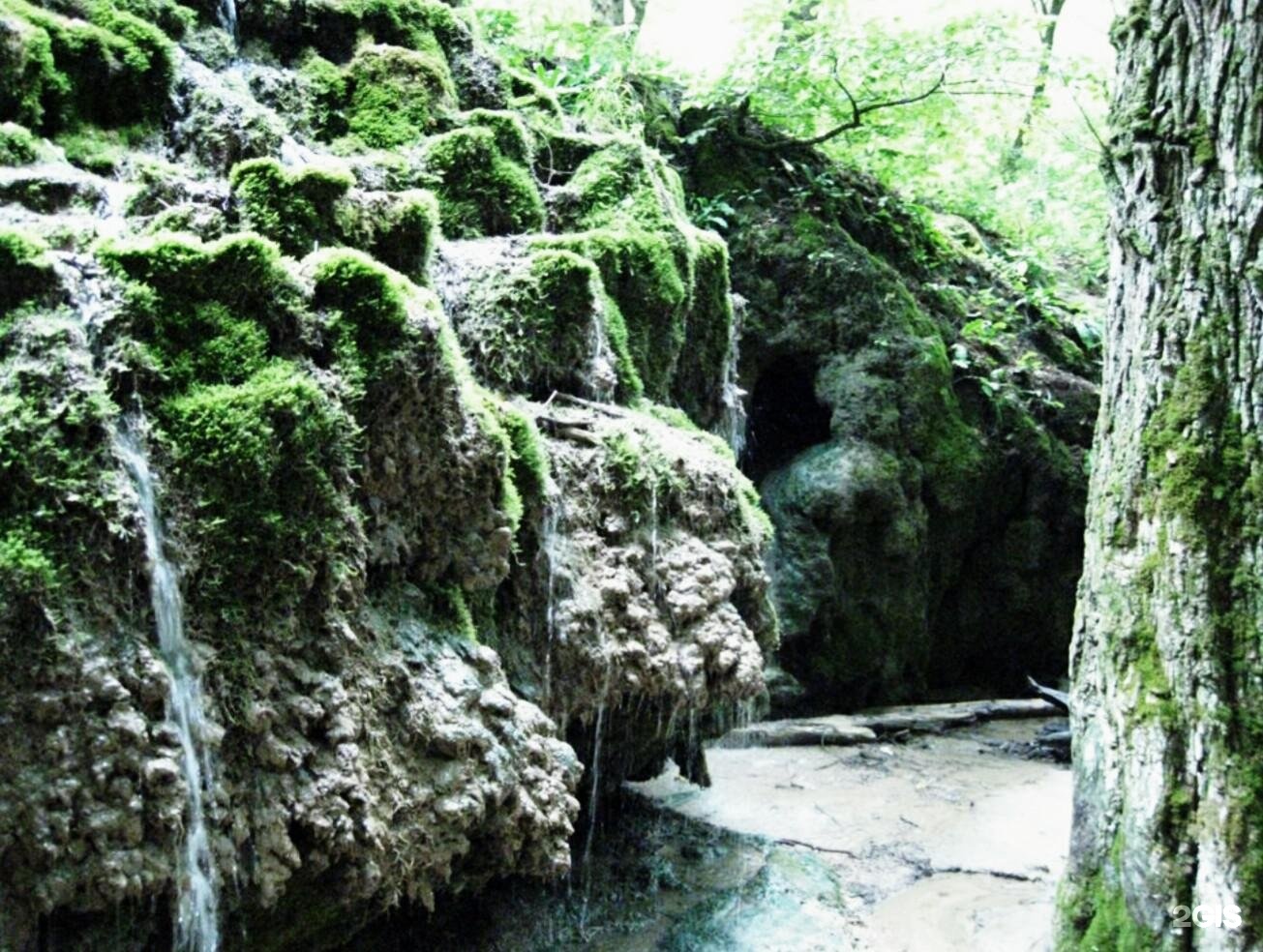 Травертиновый водопад в русском лесу