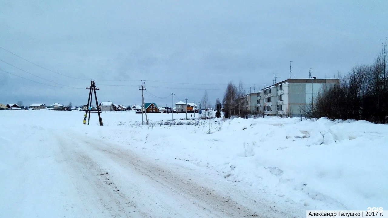 Погода в дороничах на 10 дней. Поселок Дороничи. Поселок Дороничи Киров. Шишкино Алтайский край. Фото Дороничи дом.