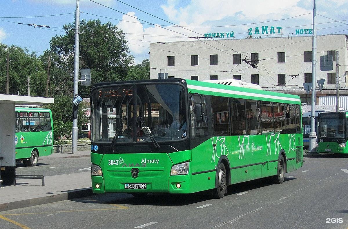 Автобусы алматы время. Автобусы Алматы. Много автобусов. Автобус пассажирский городской. Спортивный автобус.