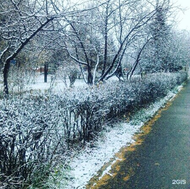 Серебряный красноярск. Сквер серебряный Красноярск. Север серебрянный Красноярс фото зима 2020. Сквер серебряный Красноярск раньше. Картинки на тему парк серебрянный Красноярска.