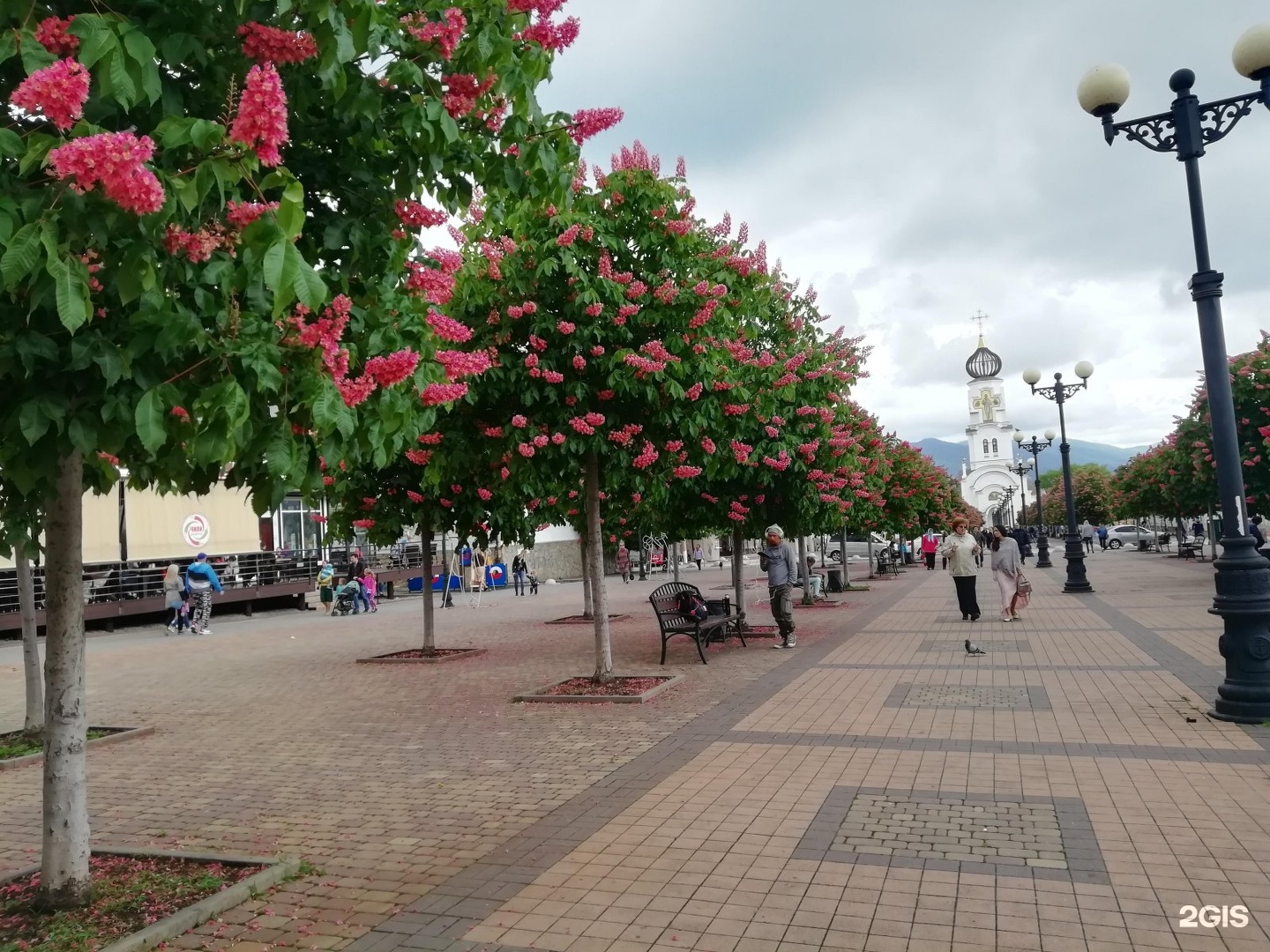 Бульвар черняховского новороссийск фото