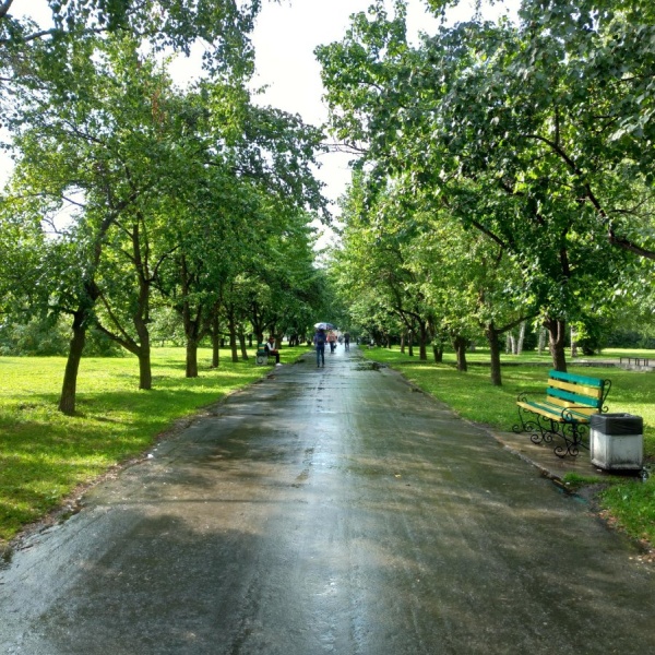 Парк чкалова екатеринбург фото