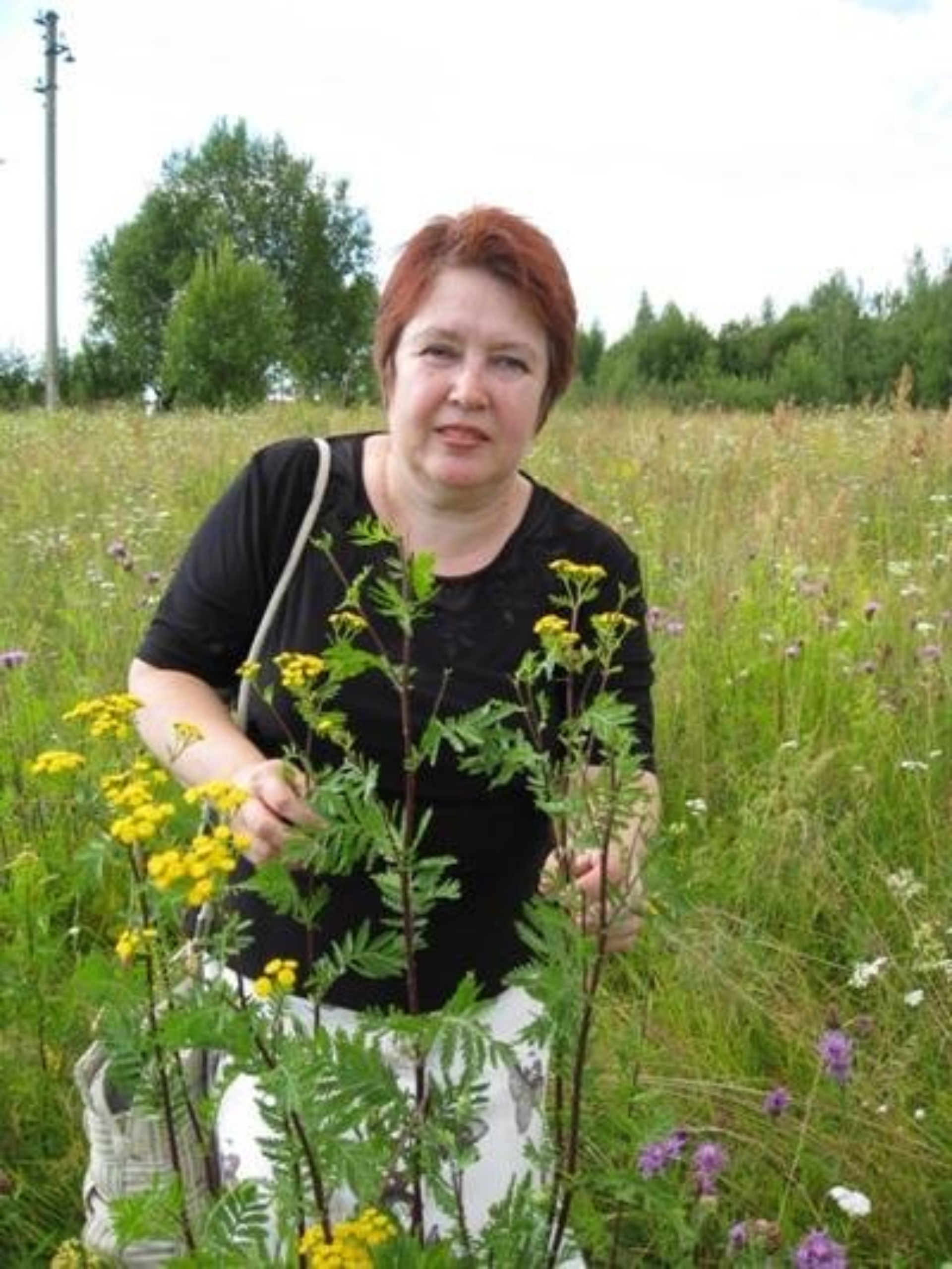 Кудряшка, парикмахерская, улица Нахимова, 11, Смоленск — 2ГИС