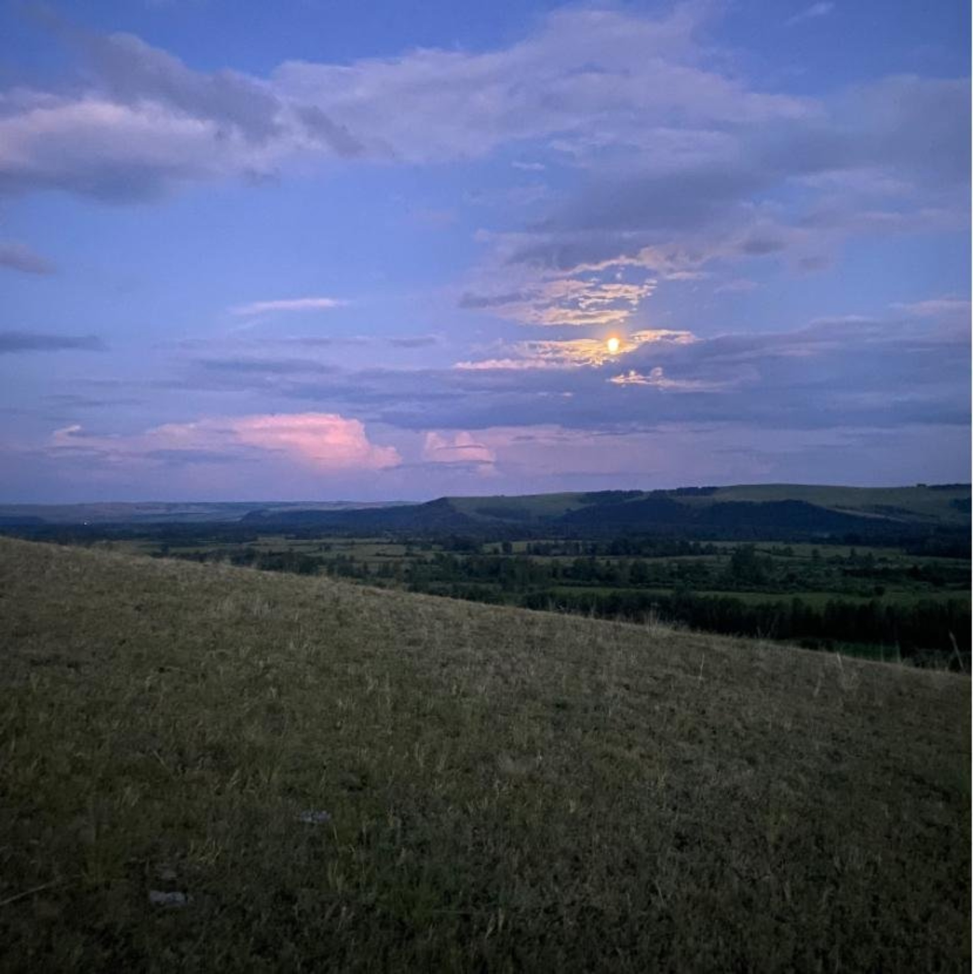 Buon gusto, ресторан, улица Молокова, 1 к1, Красноярск — 2ГИС