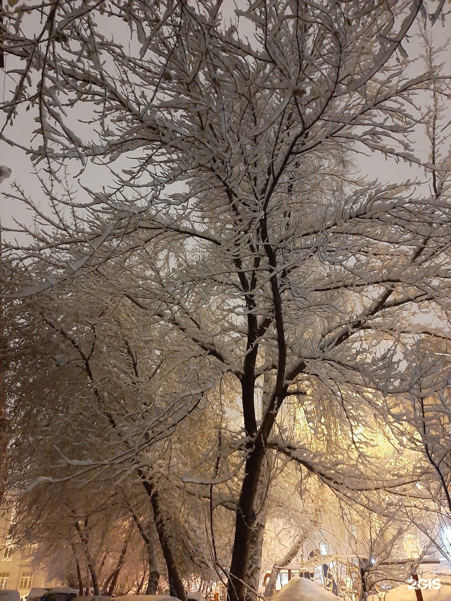 Автор отзыва Ольга Н